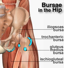 Bursa Hip